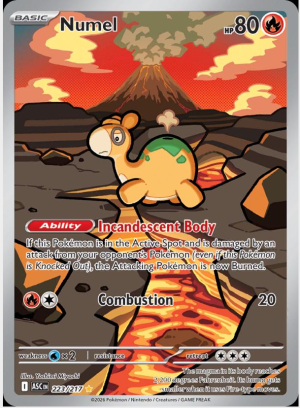 Numel 223/217